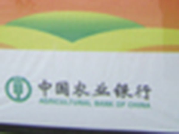 &#80;&#84;&#30495;&#20154;&#65288;&#20013;&#22269;&#65289;&#23448;&#26041;&#32593;&#31449;