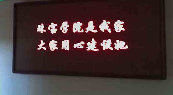 &#80;&#84;&#30495;&#20154;&#65288;&#20013;&#22269;&#65289;&#23448;&#26041;&#32593;&#31449;