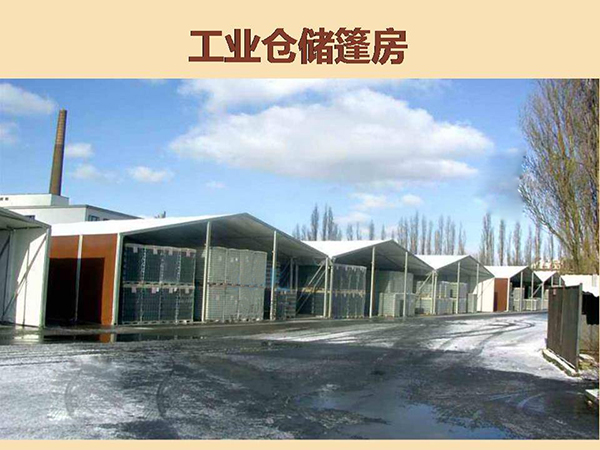 &#80;&#84;&#30495;&#20154;&#65288;&#20013;&#22269;&#65289;&#23448;&#26041;&#32593;&#31449;