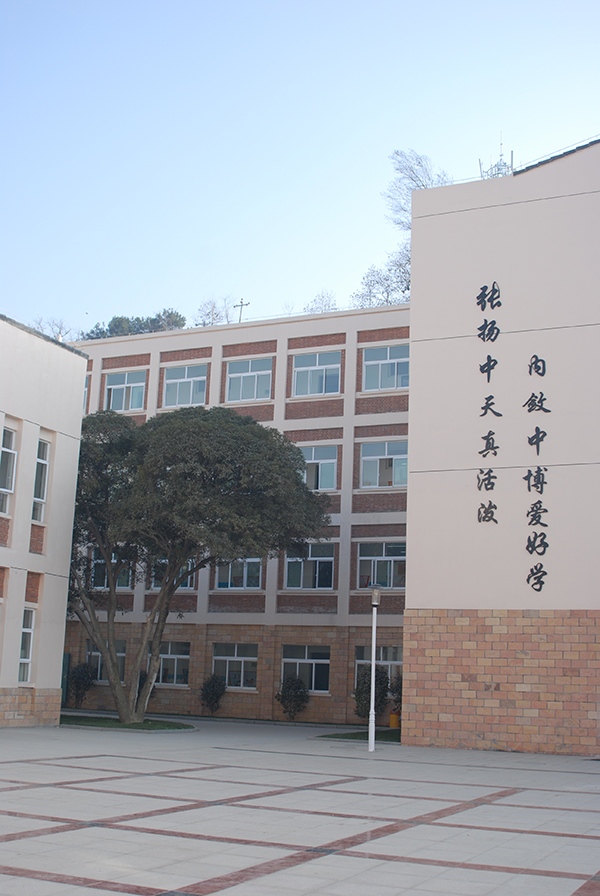 &#80;&#84;&#30495;&#20154;&#65288;&#20013;&#22269;&#65289;&#23448;&#26041;&#32593;&#31449;